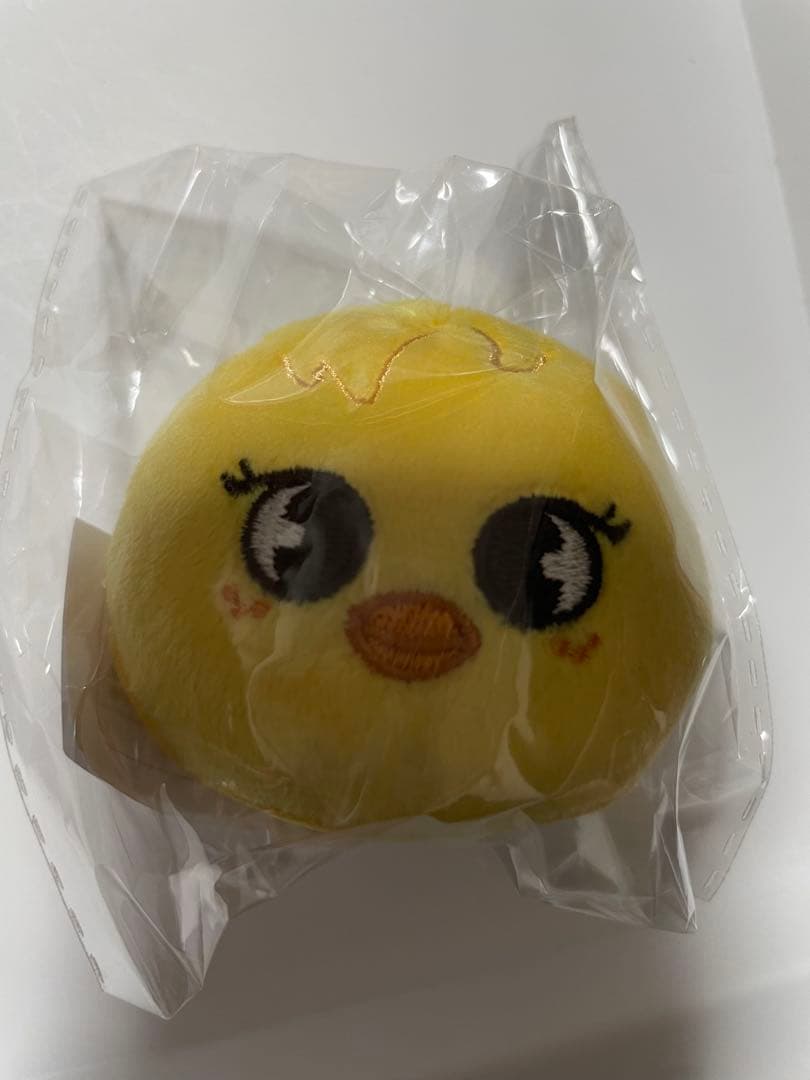 straykids スキズ skzoo ぬいぐるみマグネット コンプリート　新品