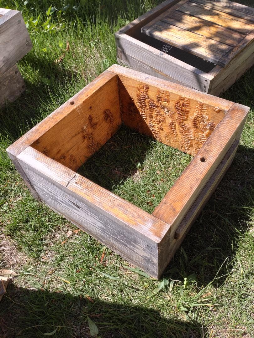 日本蜜蜂重箱式巣箱（自然入居＆営巣実績有・中古）6段・すのこ/底板/蓋/蜜蝋つき