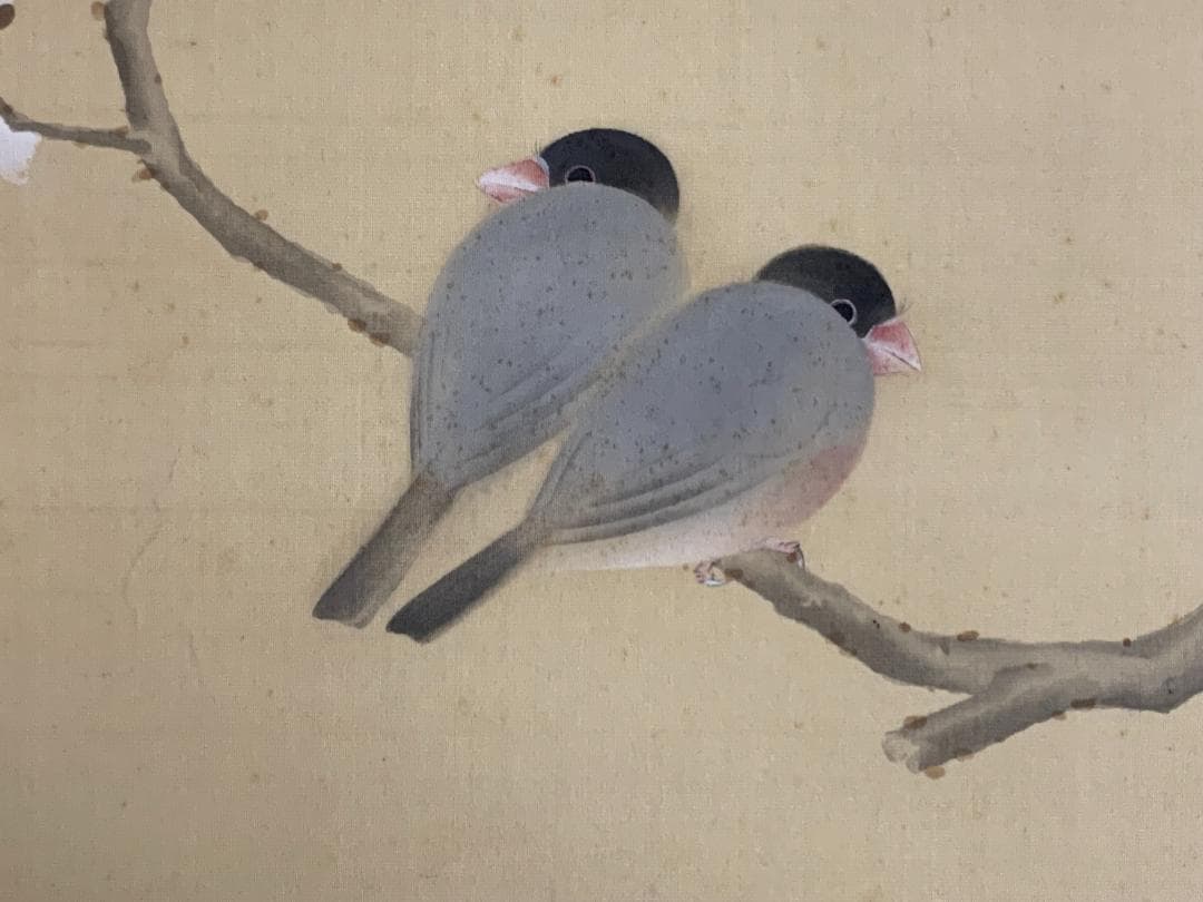 小林柯白 梅花小禽図 絹本肉筆 掛軸 光穂識箱 安田靫彦師事 842