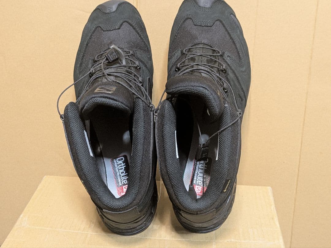 salomon xa forces mid gtx サロモン　31cm us13