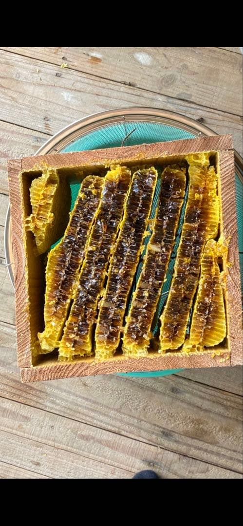 OWHJ 日本蜜蜂の巣蜜(里山の百花蜜無添加コムハニー)2000g