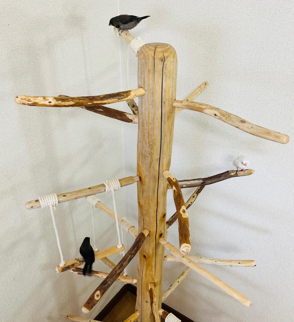 【中型鳥用】ブランコ＆はしごで楽しいバードアスレチック