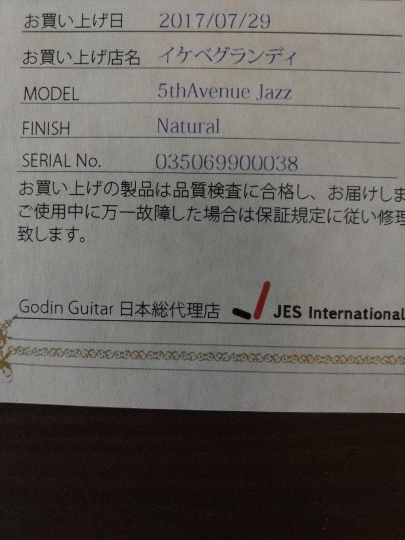 Godin (ゴダン) ： 5th Avenue Jazz / フルアコ・ギター