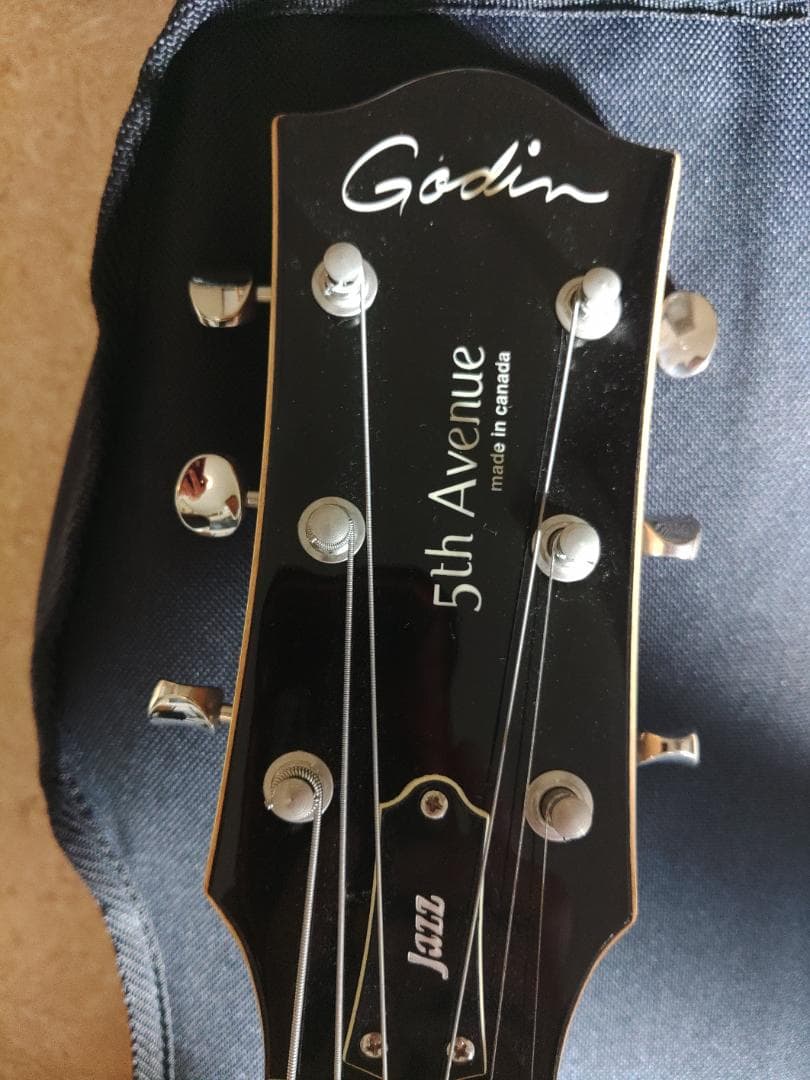 Godin (ゴダン) ： 5th Avenue Jazz / フルアコ・ギター