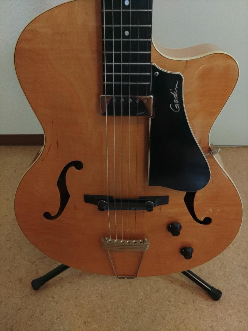 Godin (ゴダン) ： 5th Avenue Jazz / フルアコ・ギター