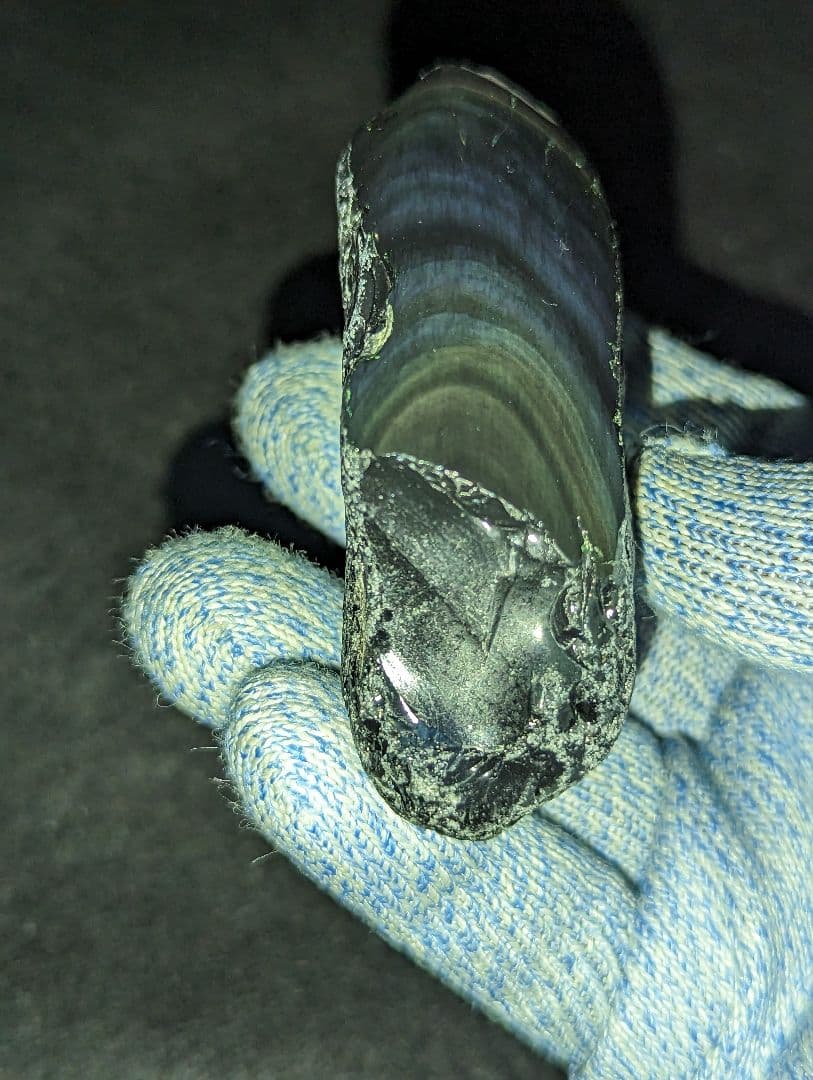 【研磨品】十勝石玲瓏　北海道産レインボーオブシディアン　十勝石　玲瓏石