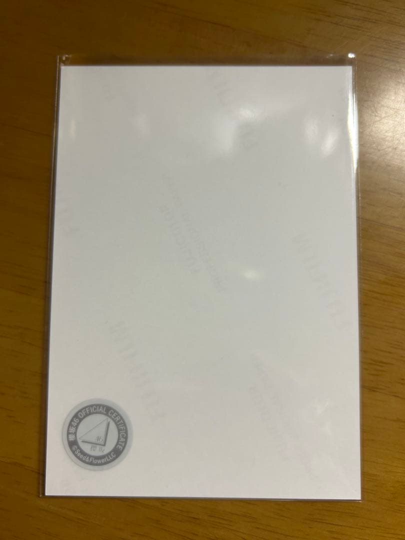 森田ひかる 櫻坂46 2024年サンタ衣装直筆サイン入り生写真　スワリ