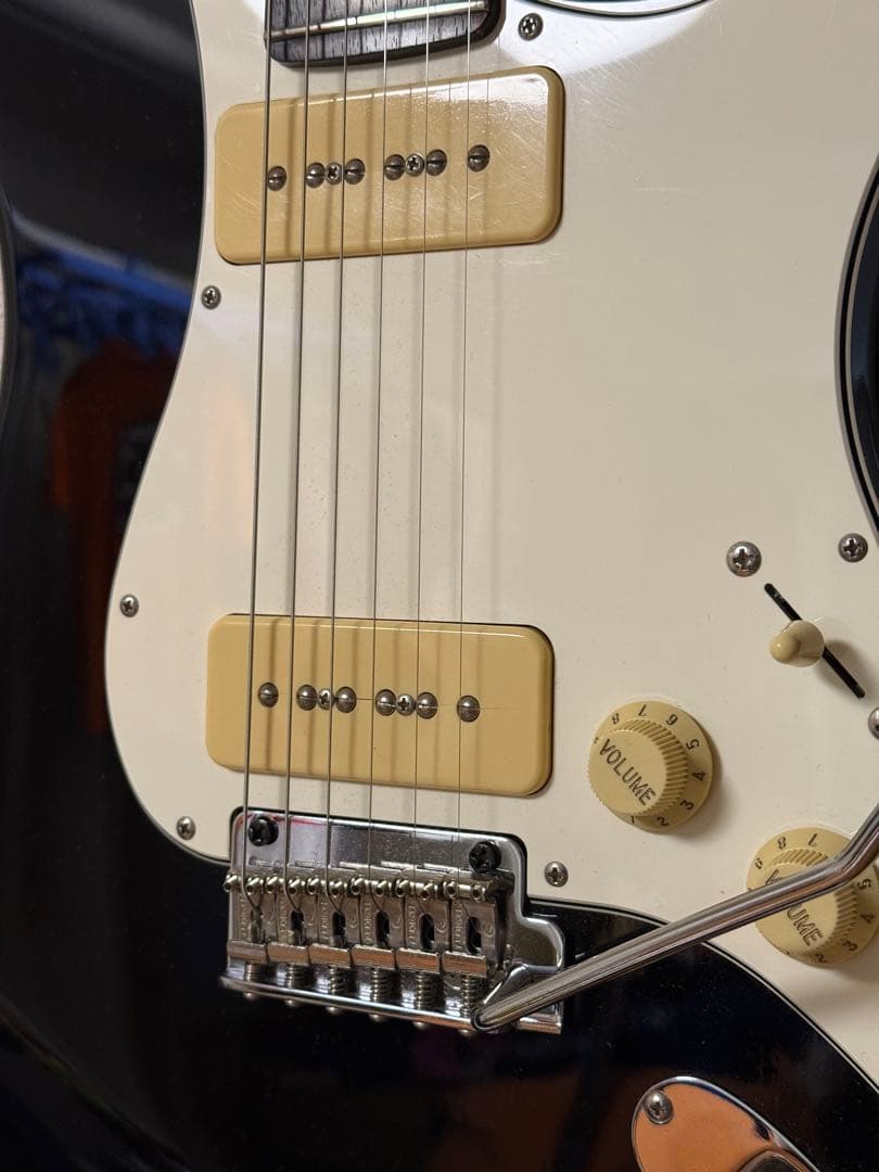 フジゲン　FGN NST12RAL P90ストラト