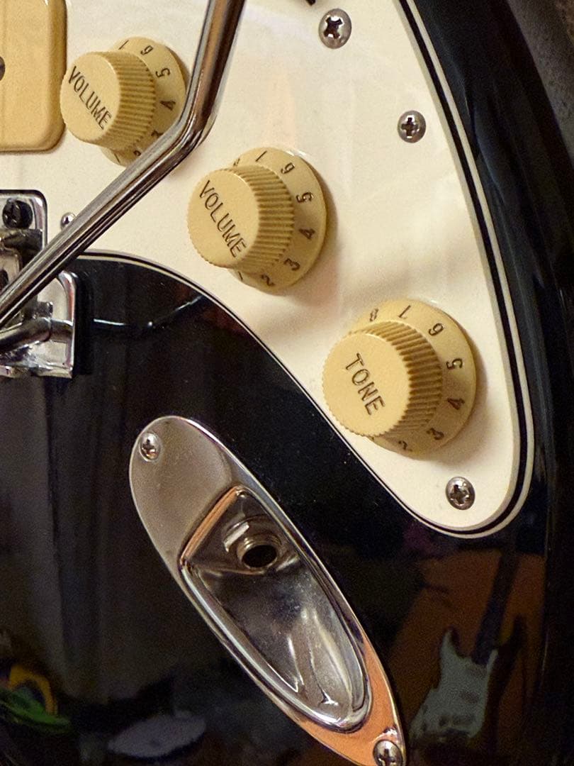 フジゲン　FGN NST12RAL P90ストラト