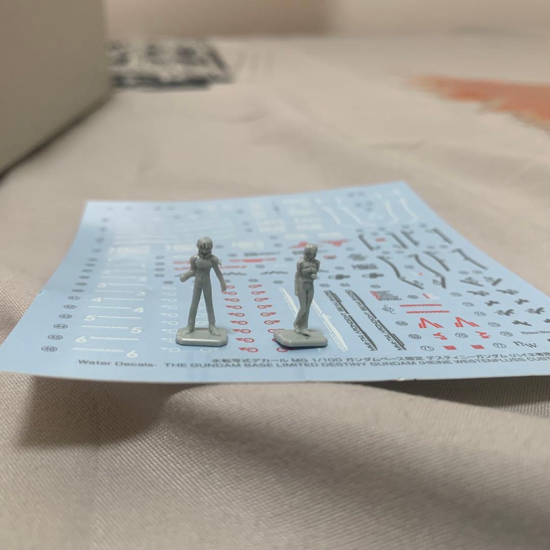 【完成品】MG 1/100 デスティニーガンダム ハイネ専用機