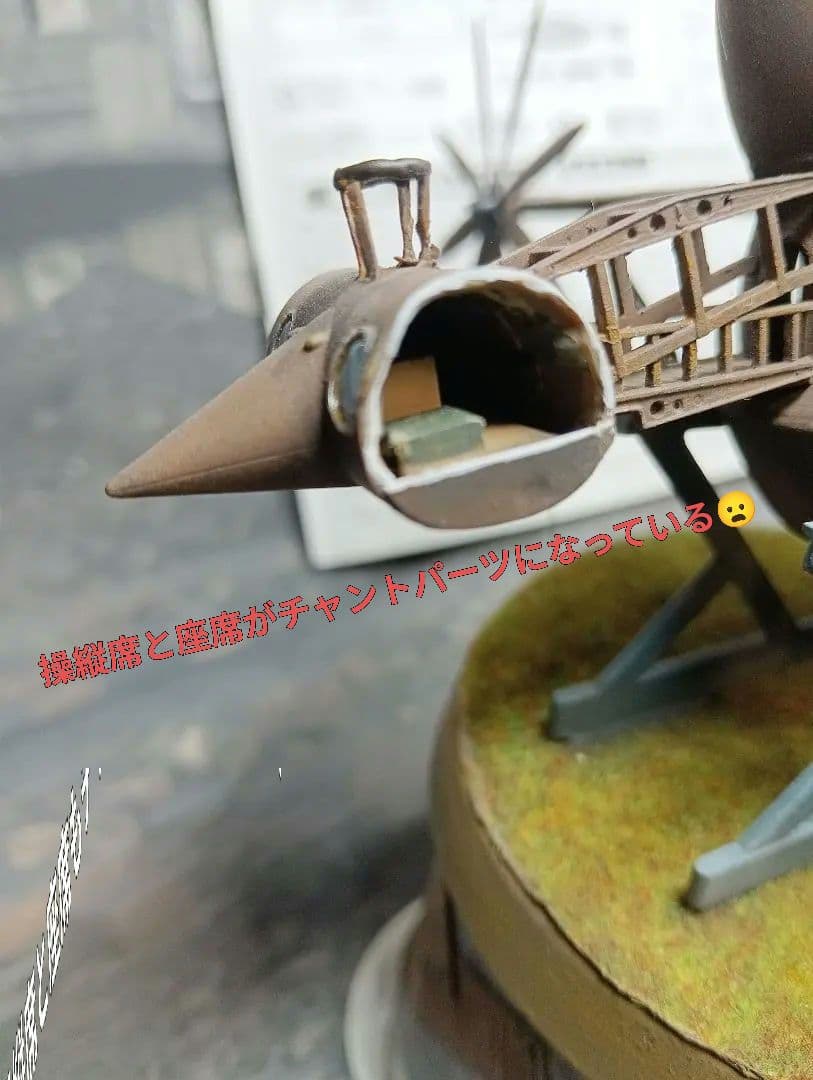 「船長とお呼び！！」タイガーモス　カットモデル！？(｀・ω・´)ゞ