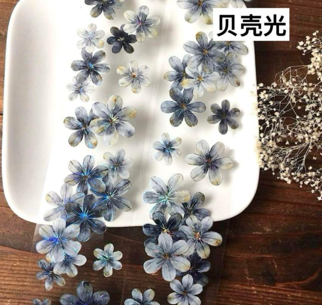 Bass☆プロフ必見