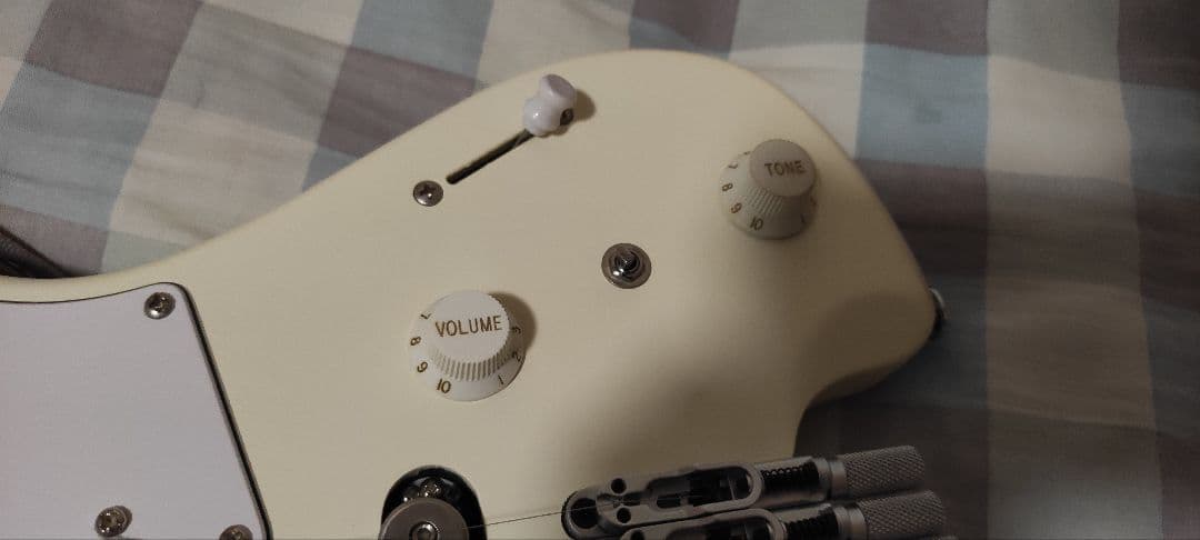 [サルナイ]Ibanez ichi10