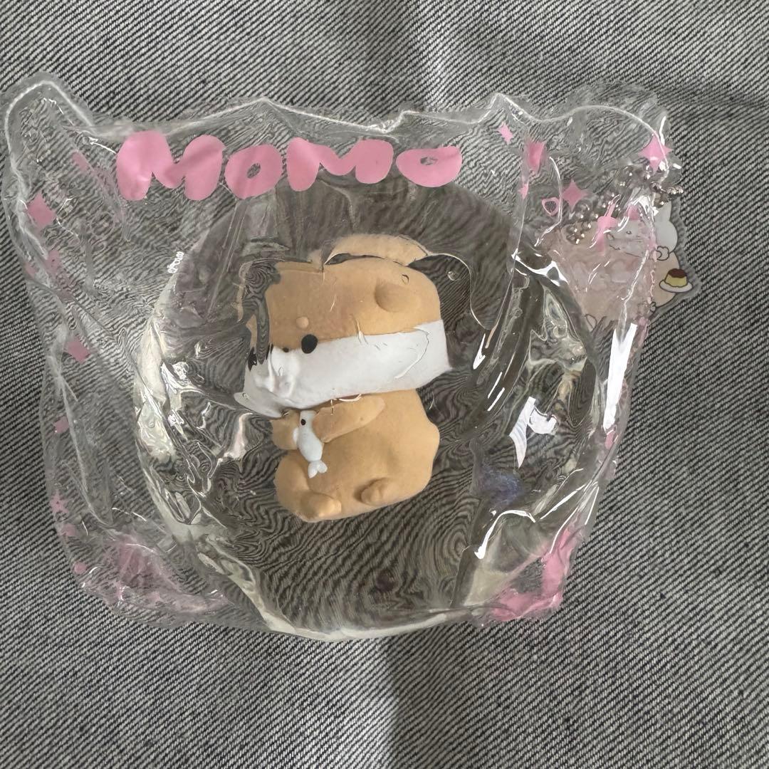 は*マ様 MOMO スクイーズ　海洋シリーズ　ウーパールーパー　クリオネ　カワウ