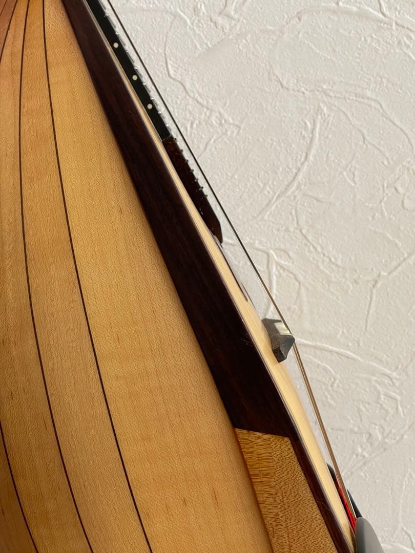 Ena Mandolin 恵那マンドリン EM-40