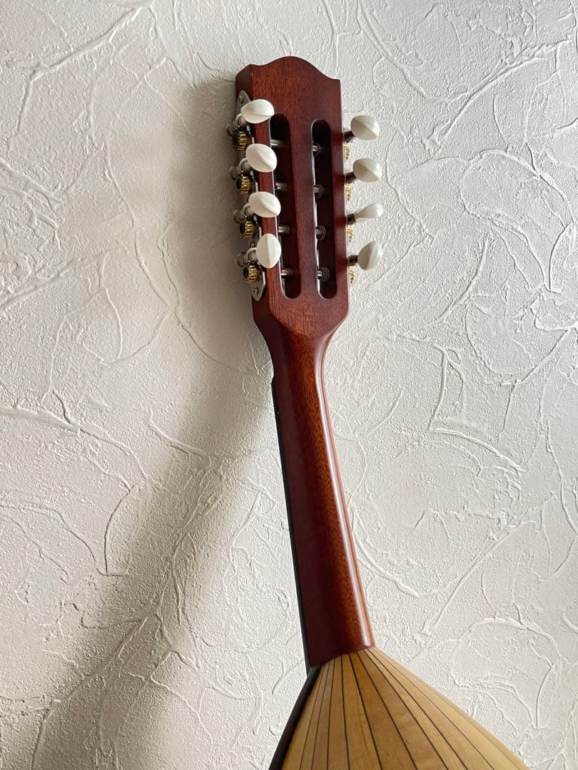 Ena Mandolin 恵那マンドリン EM-40