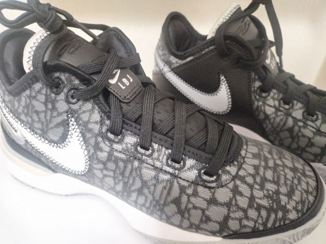 Nike 25.5cm レブロン NXXT Gen EP DR8788-005