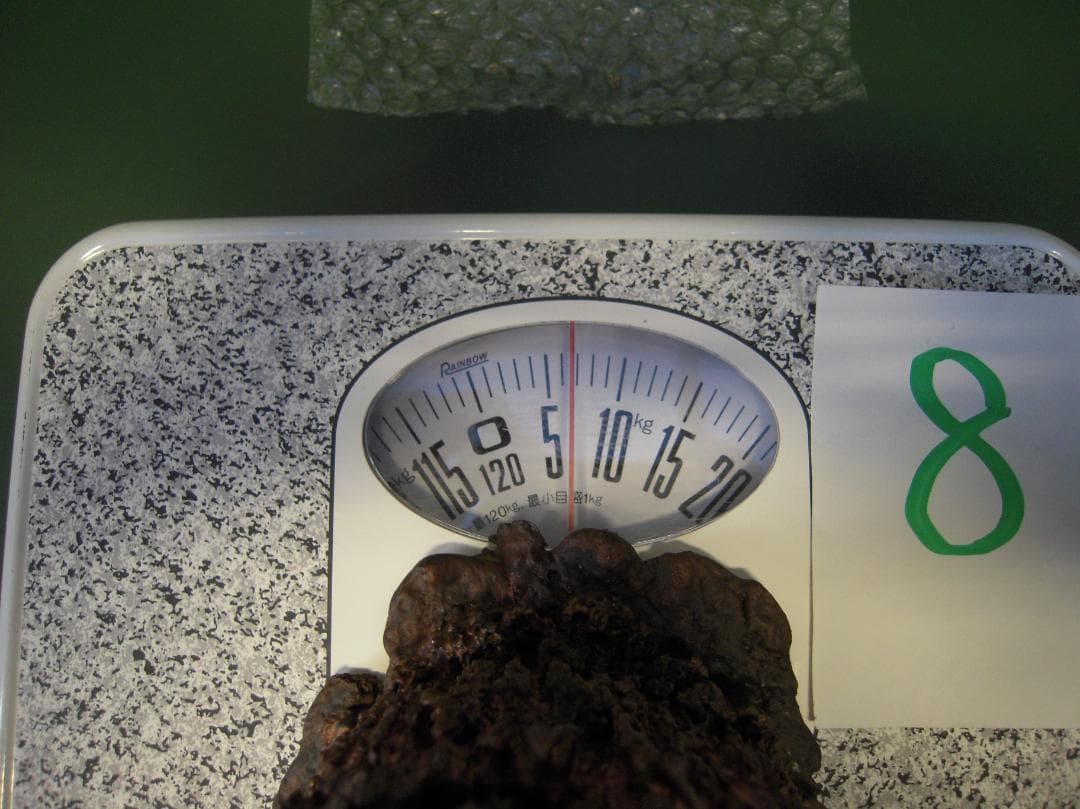 nori② 銅滴 #1 #4 #8