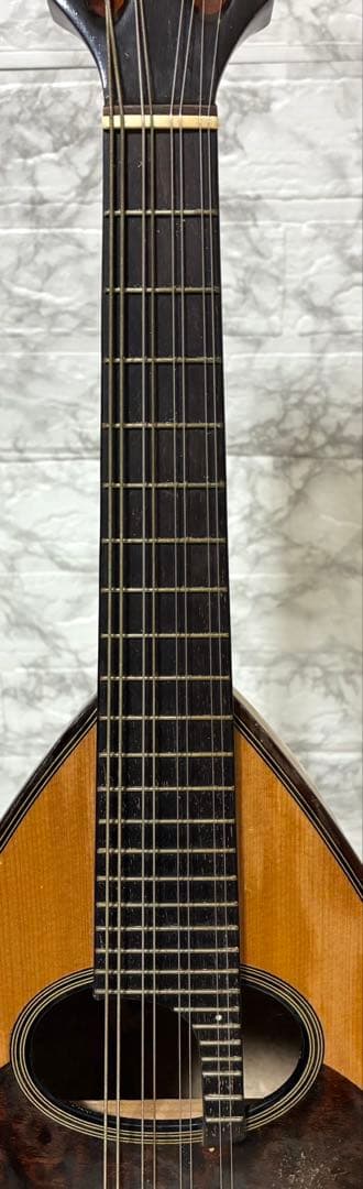 【動作確認済】SUZUKI マンドリン M-30 エントリークラス