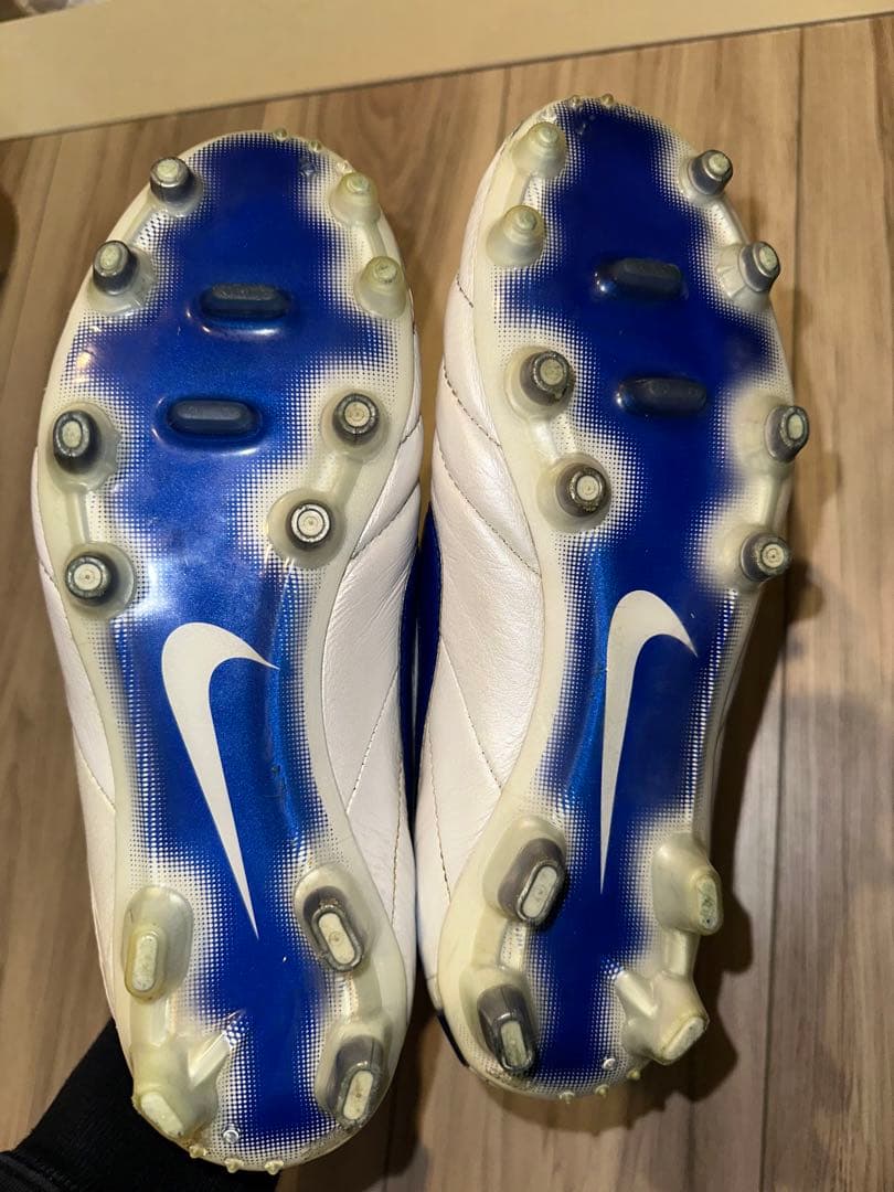 ティエンポレジェンド4 Ⅳ FG 白×青