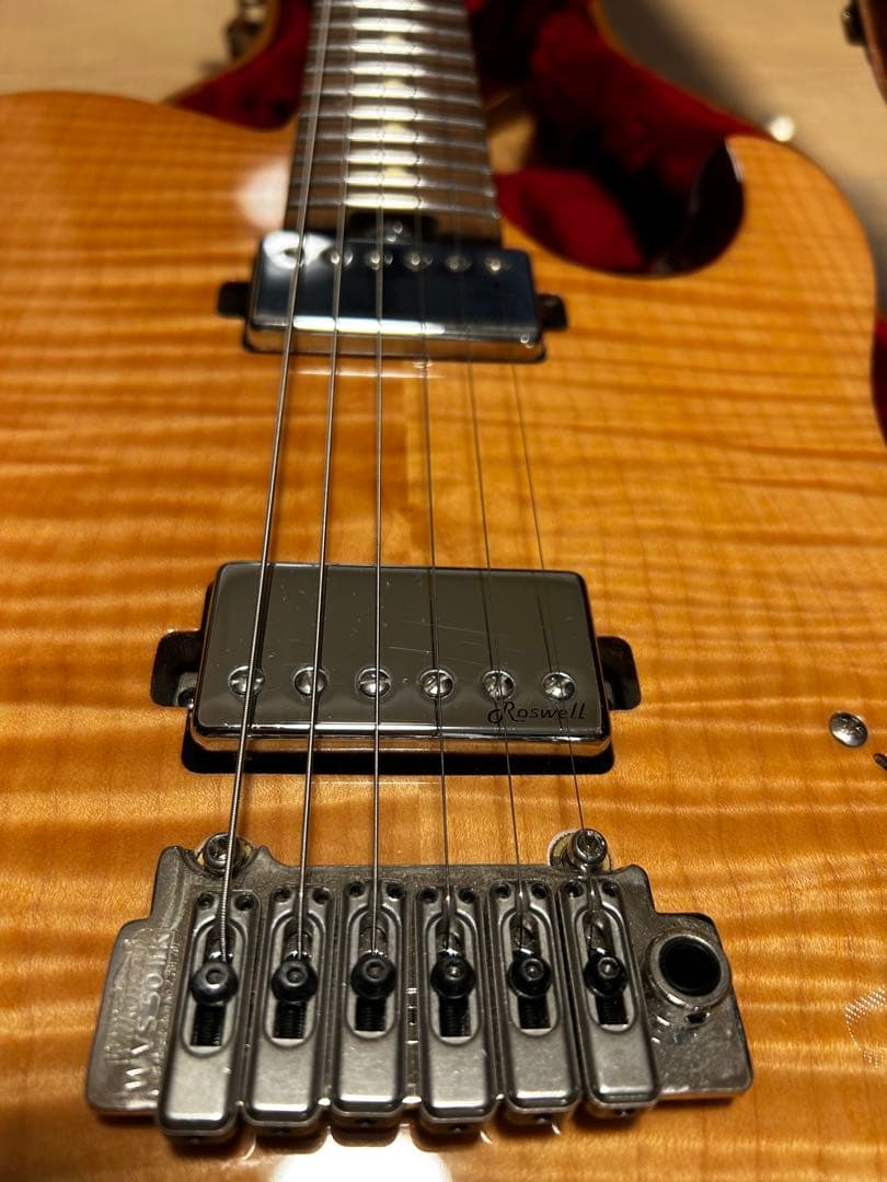 ギター Harley Benton Fusion-T HH Roasted