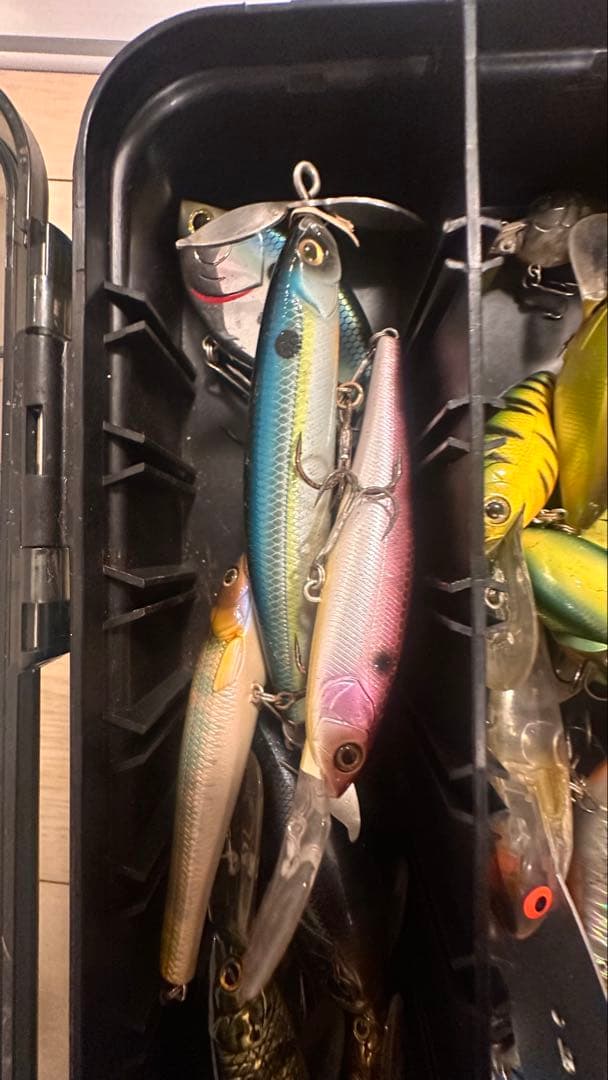 バス釣り引退セット 早い者勝ち！ シマノ ダイワ