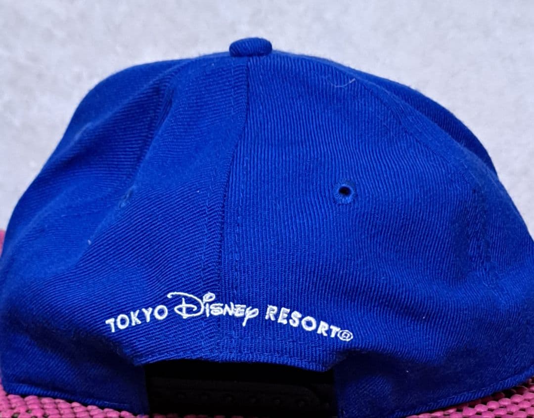 東京ディズニーリゾート ミッキーマウス　ドナルドダック 　コラボ　キャップ