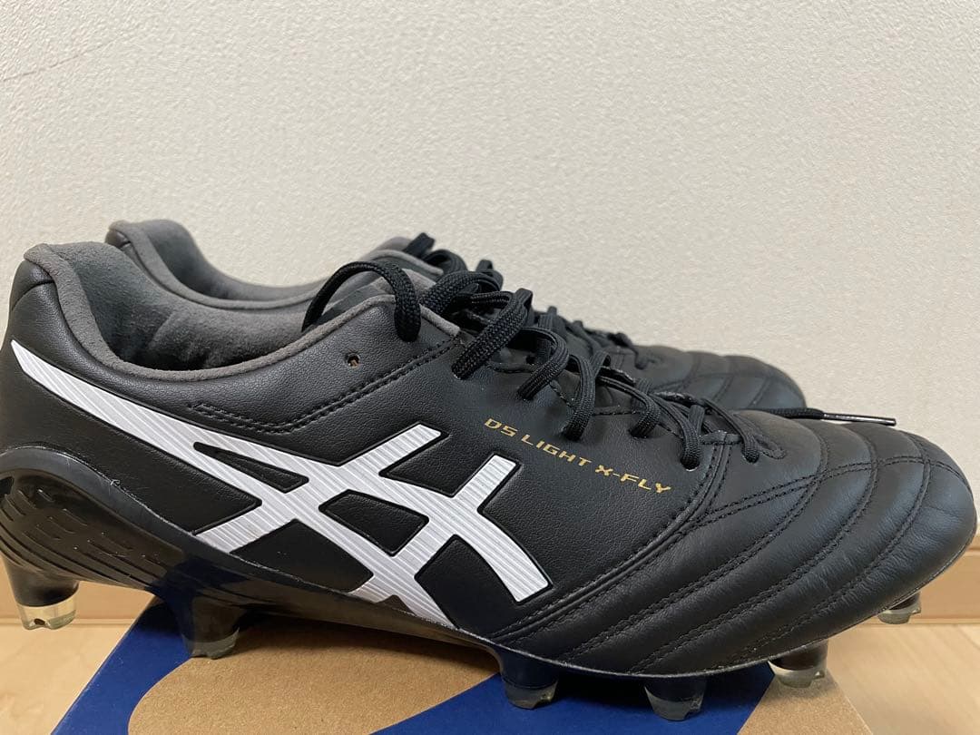 アシックスDS LIGHT X-FLY 5