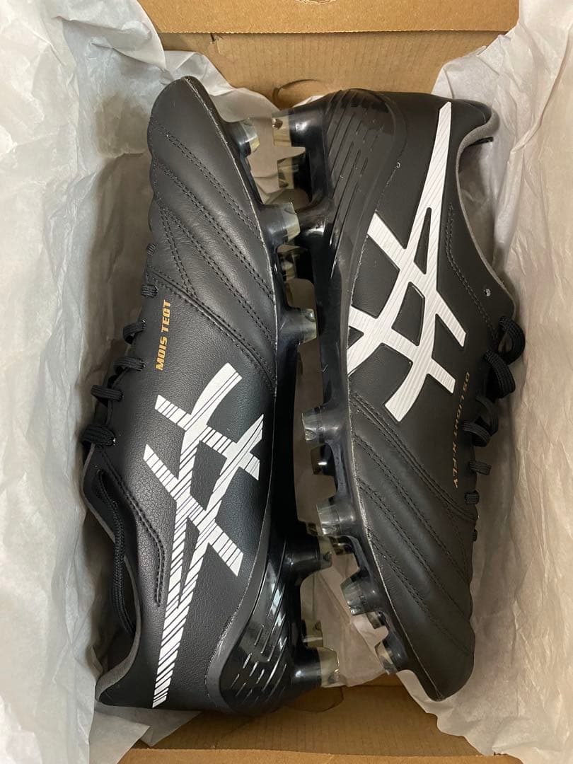 アシックスDS LIGHT X-FLY 5