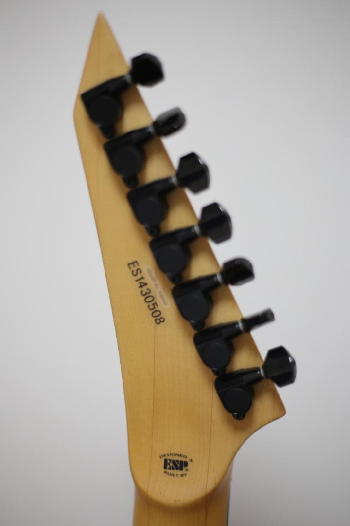 ギター ESP SIGNATUERE SERIES E-2 EV-7