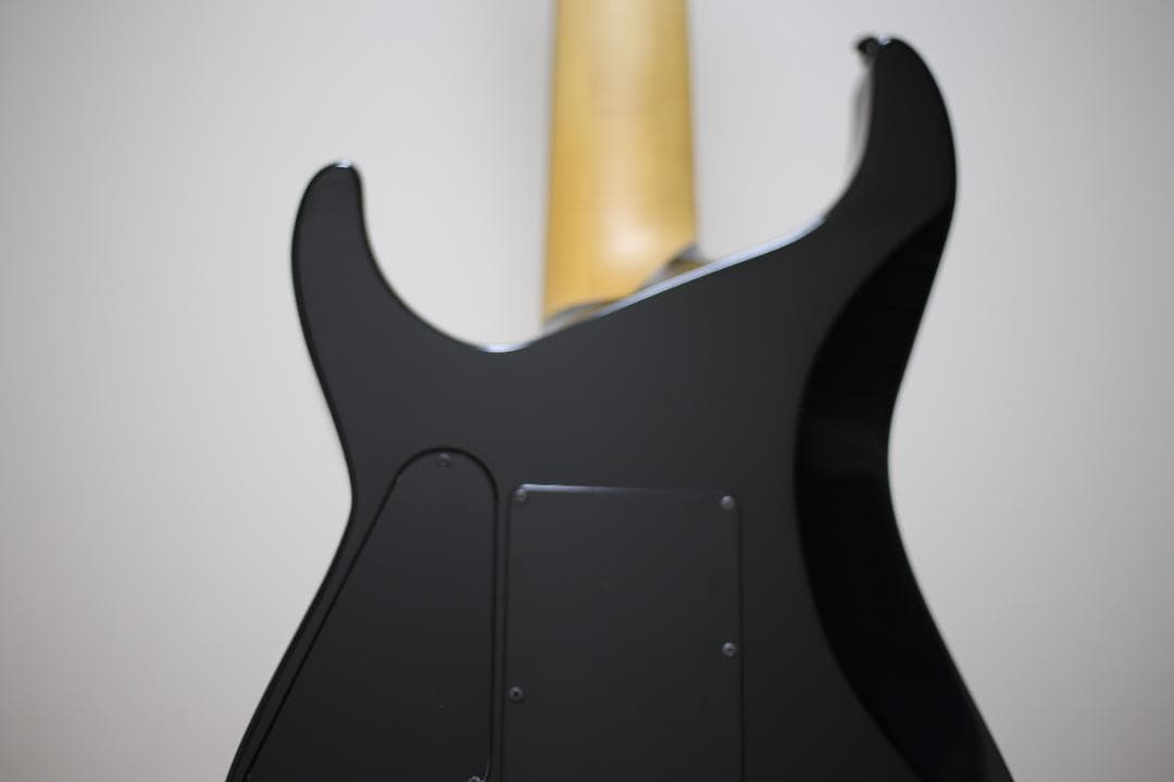 ギター ESP SIGNATUERE SERIES E-2 EV-7