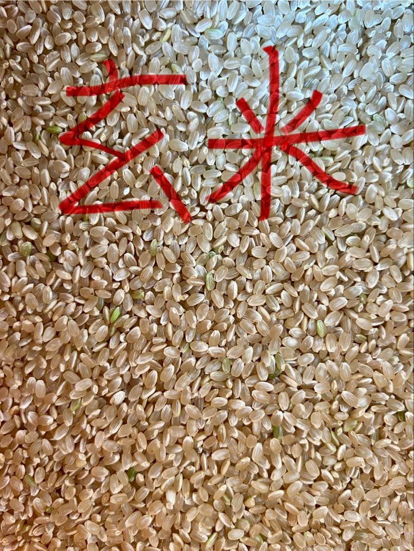 合鴨米 玄米(農薬・化学肥料不使用)コシヒカリ 10kg