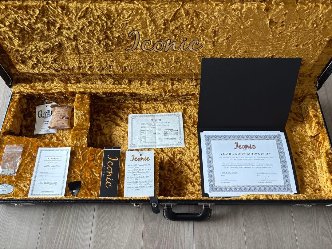 ギター Iconic Guitars VM62S HR BRG MIST