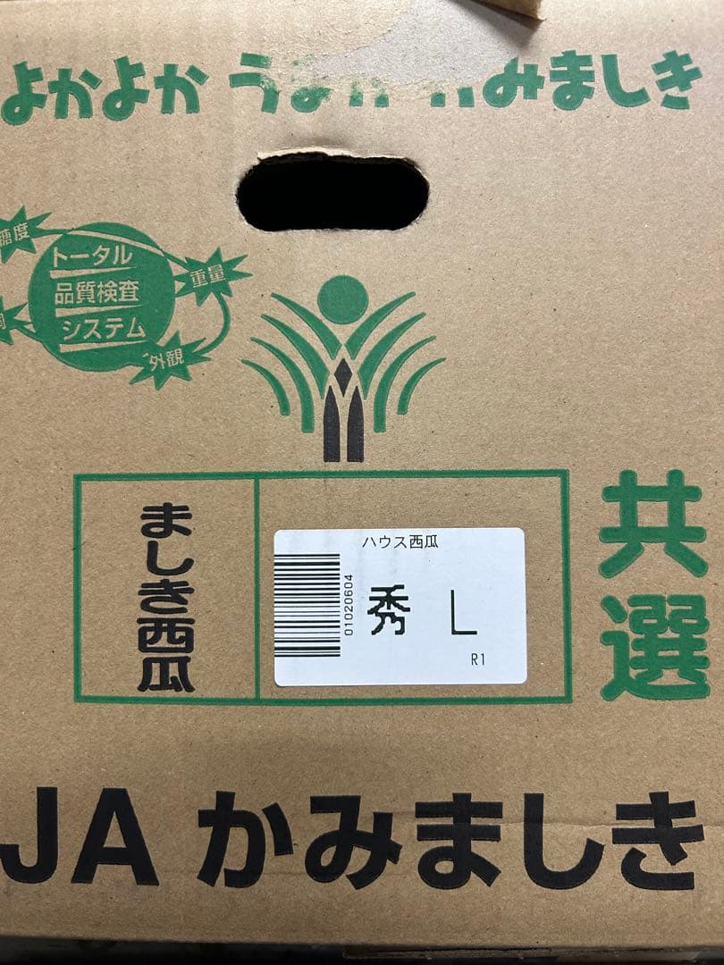 熊本県スイカ秀Lサイズ2玉入り14kg以上