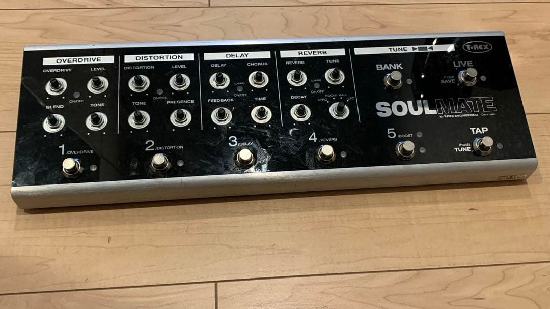 T-REX SOULMATE [訳あり]