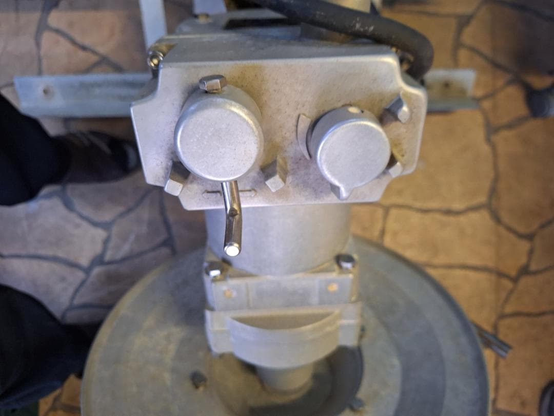 ヤングネットラインホーラ