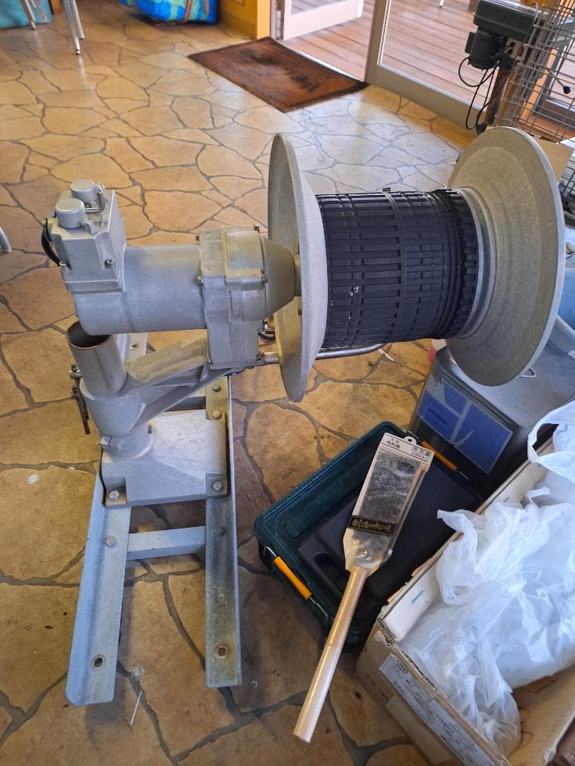 ヤングネットラインホーラ