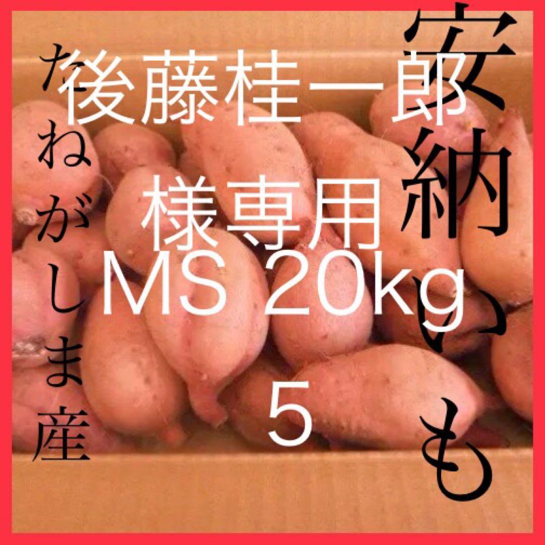 さつまいも 後藤桂一郎 20kg 安納芋　種子島産　5