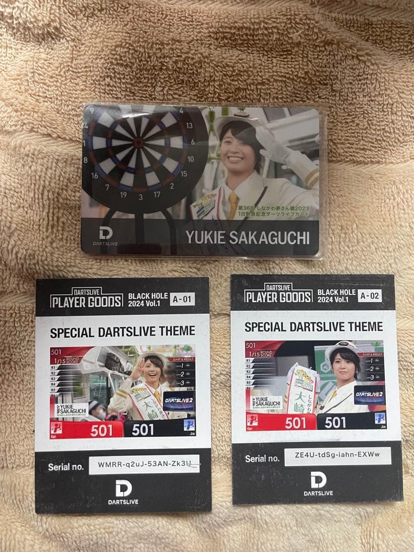 Yukie Sakaguchi 特別ダーツライブカードセット