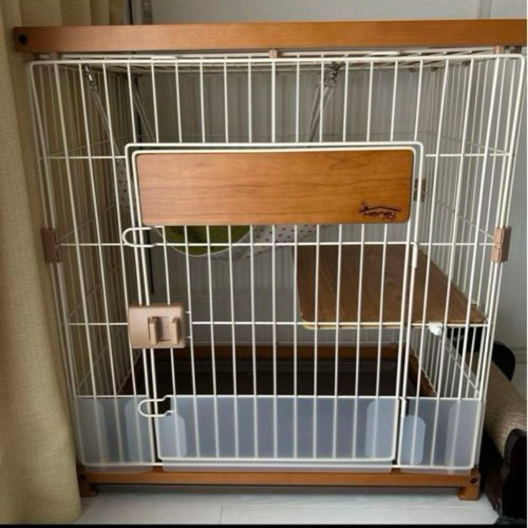 y キャットサークルシングル