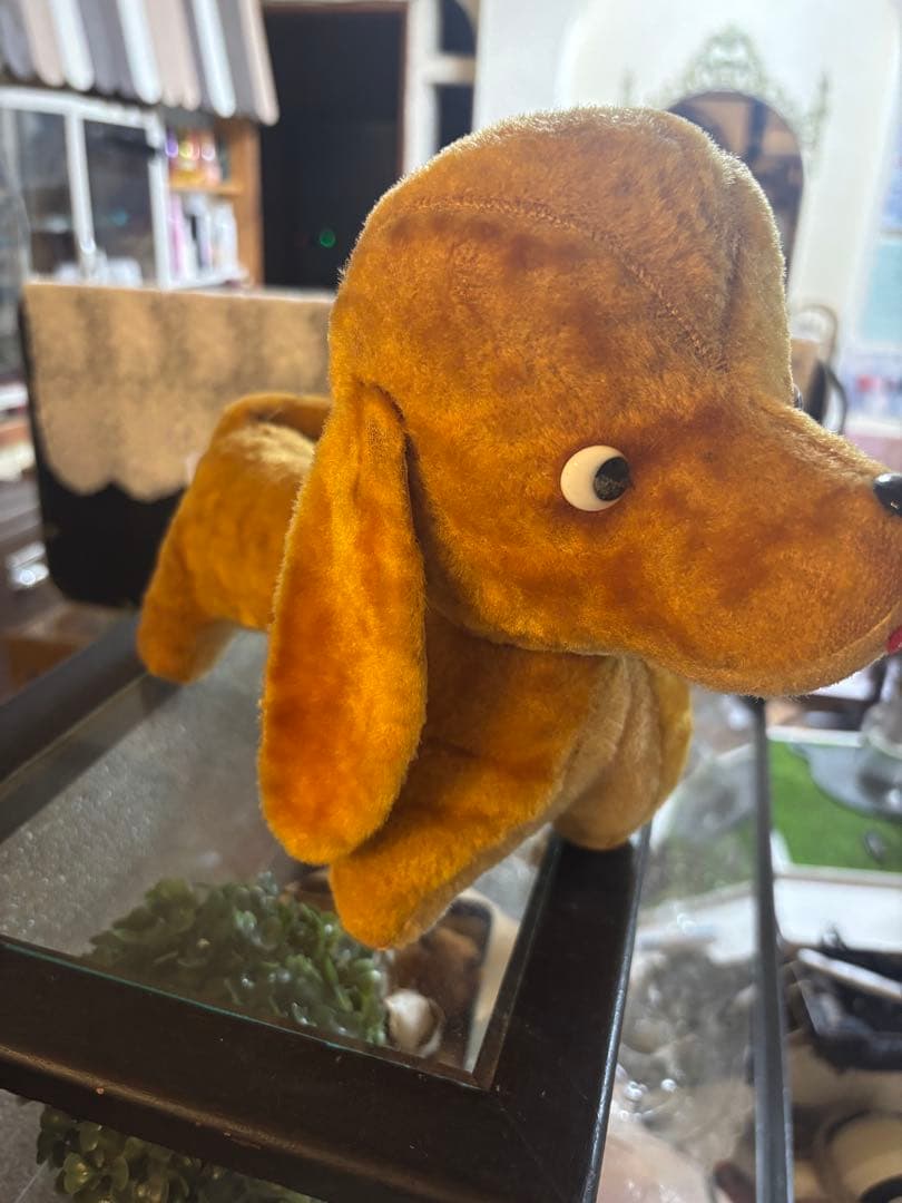 シュタイフ　犬　ぬいぐるみ　当時物　アンティーク　ヴィンテージ　ダックスフント