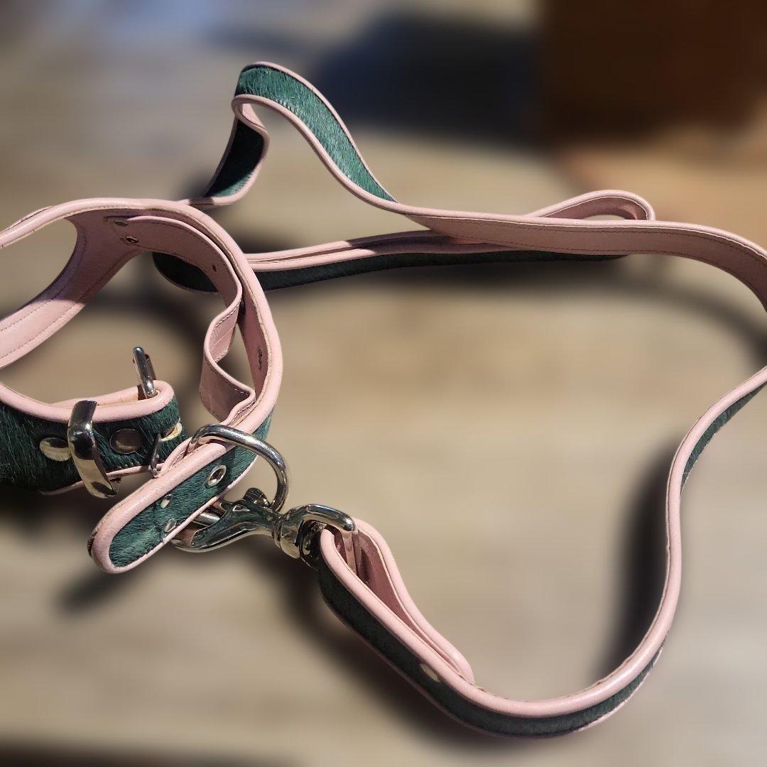 レザー緑ピンクハーネス