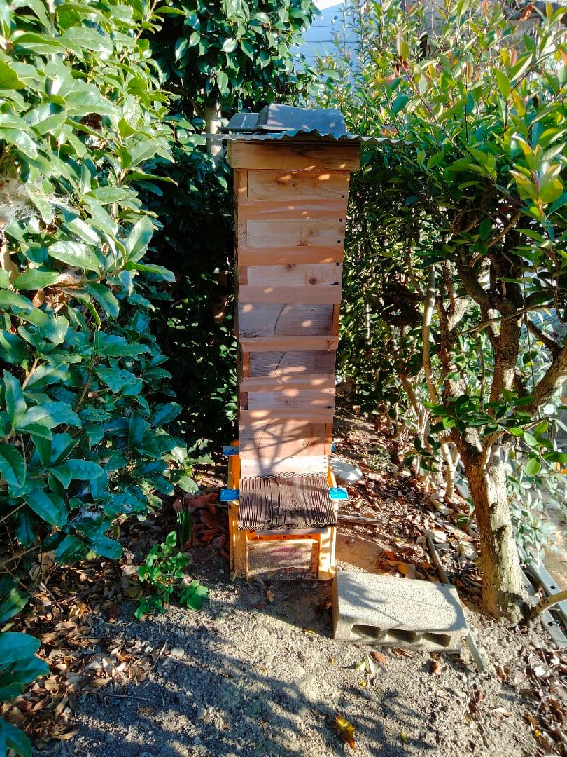 日本蜜蜂　百花蜜　200g×5　天然非加熱　　　ハチミツ　5種の味比べセット 2