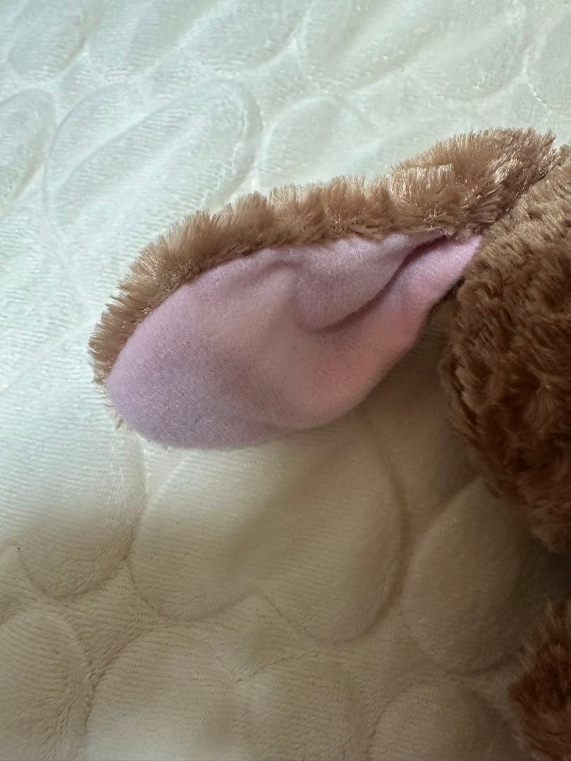 シュガーバニーズ　くろうさ　平成レトロ