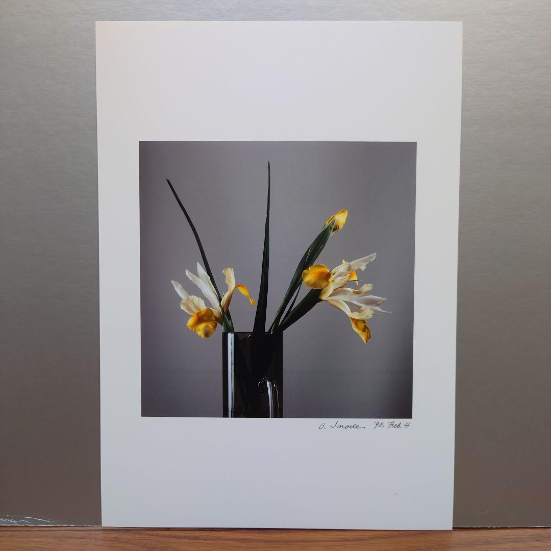 井上治（Osamu Inoue）９００２０４１４　フォトアート　静物　作品