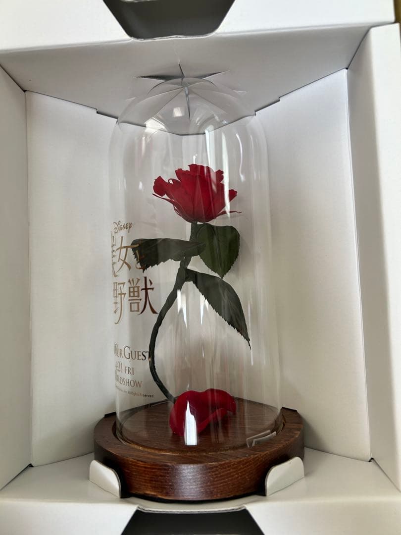 美女と野獣　プリザーブドフラワー　非売品　薔薇