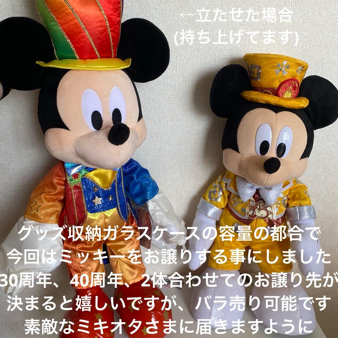 ディズニーリゾート　40周年　ぬいぐるみ　ミッキー　70cm 巨大　限定　レア