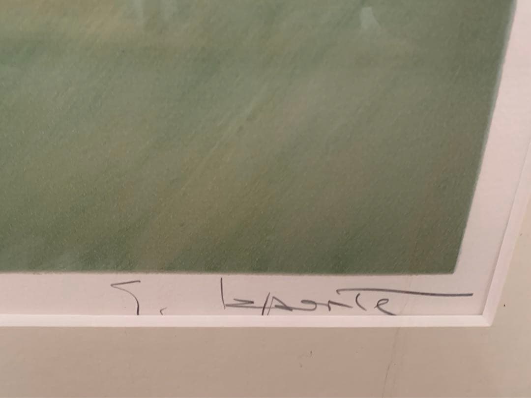 es LAPORTE \"LE RIVAGE\" 証明書付き