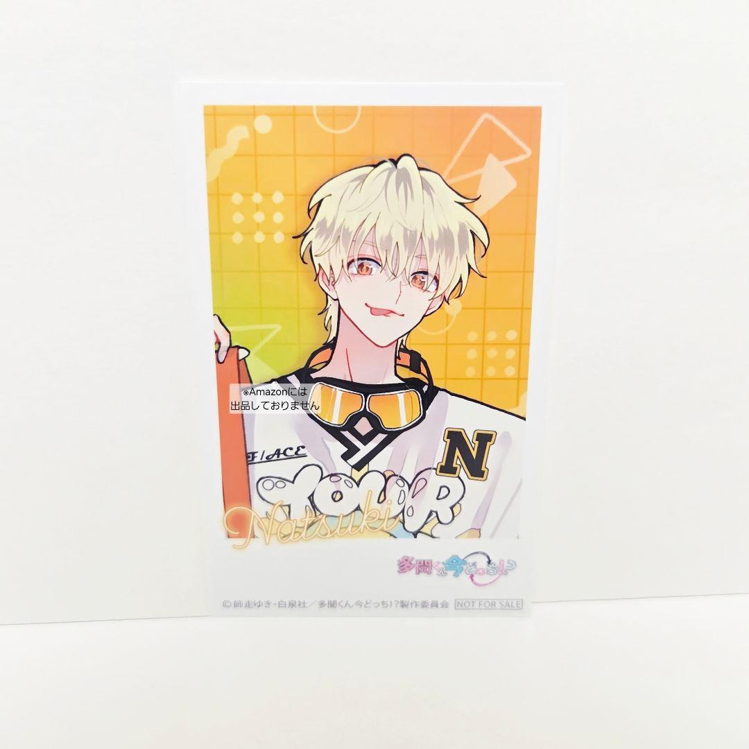 多聞くん今どっち!? CD 特典 アニメイト ミニフォトカード コンプリート