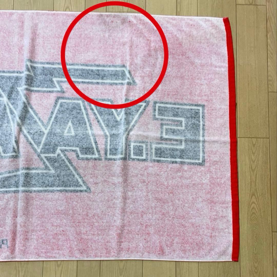 矢沢永吉 ★ 当時物94s' スペシャルビーチタオル ( ロゴ ) レッド